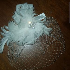 Vintage Style Birdcage Veil